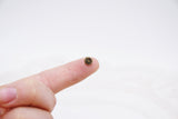 B310 Cute 6mm Piggy Buttons Shank Buttons Micro Mini Tiny Buttons Doll Buttons Doll Sewing Craft Supplies