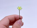 D007 Little Cute Daisy Flower 1:12  Miniature Dollhouse Diorama Display